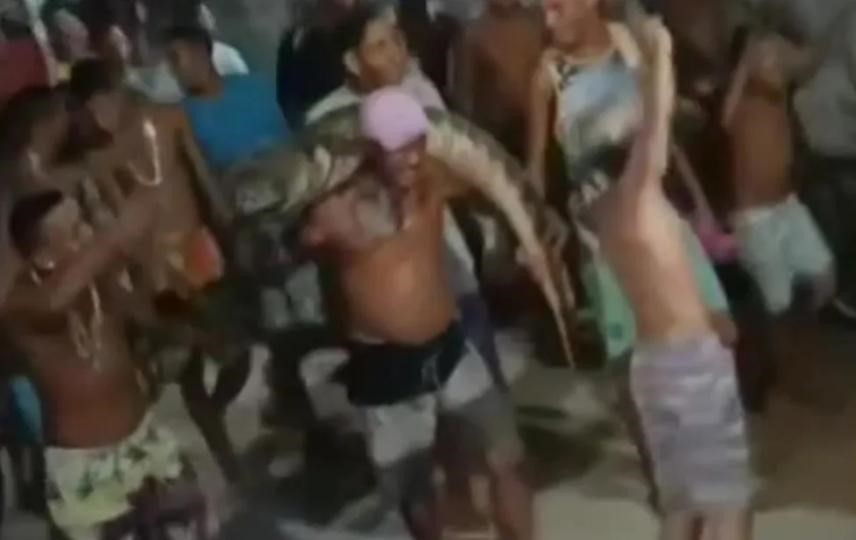 Jacaré aparece em rua de Olinda e moradores dançam com animal