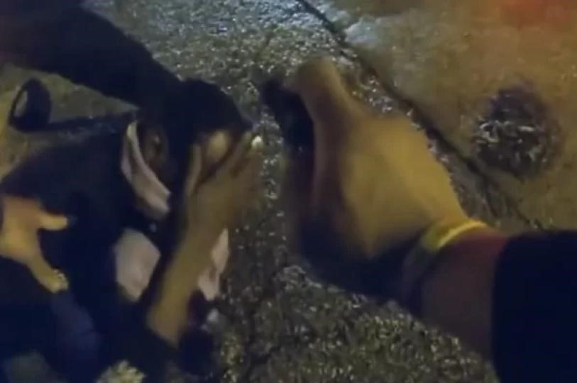 Vídeo mostra policiais agredindo homem negro nos Estados Unidos