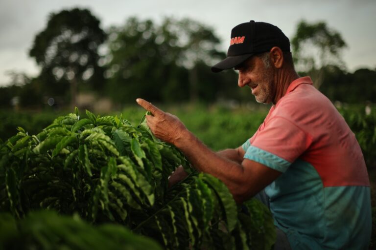 Orientações aos produtores rurais sobre adesão ao Programa “Terra Brasil”