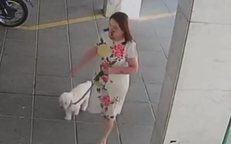 Casal agride idosa e esfrega cocô de cachorro nela