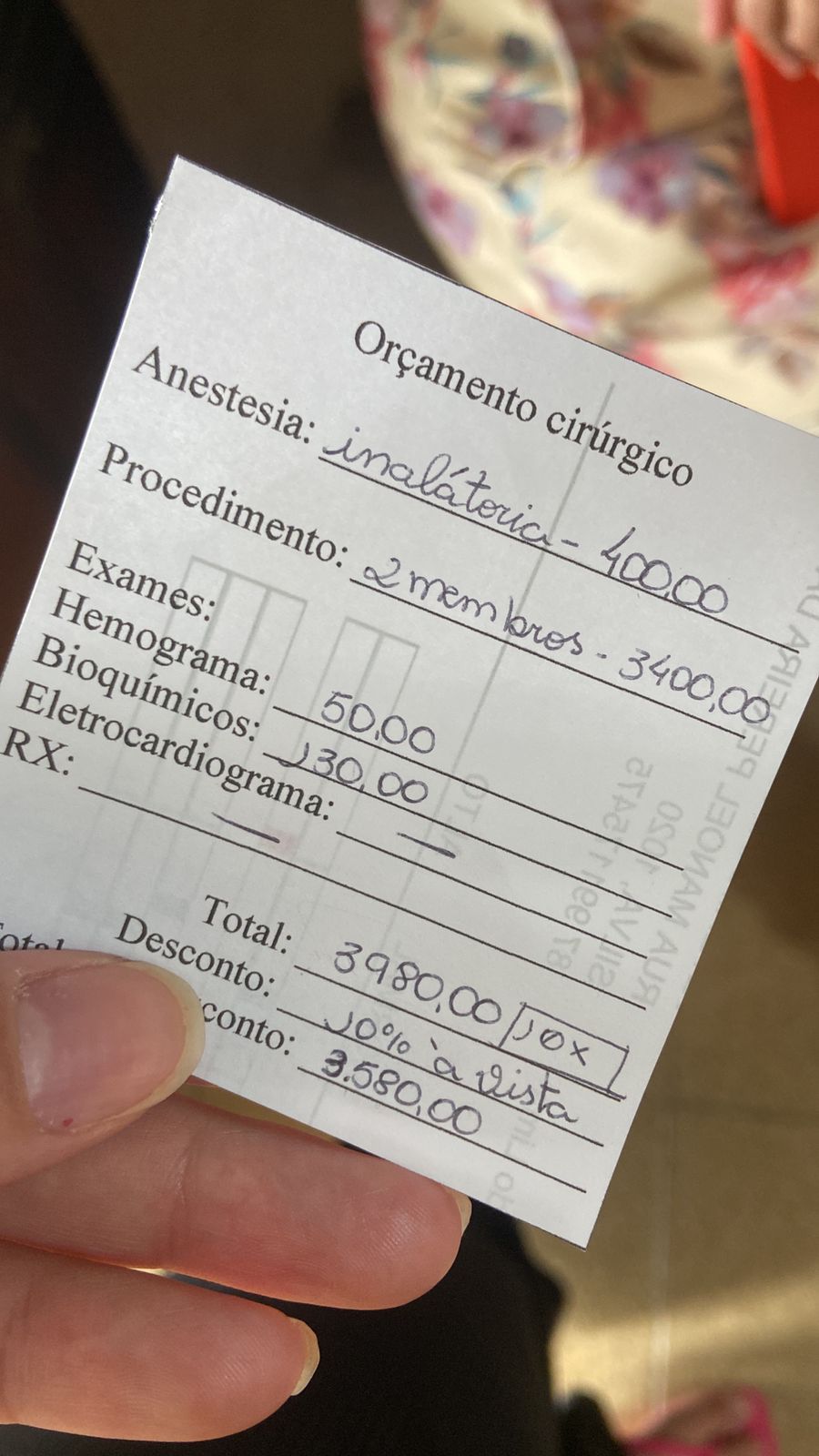 Estudante faz campanha por gata com patas quebradas em ST