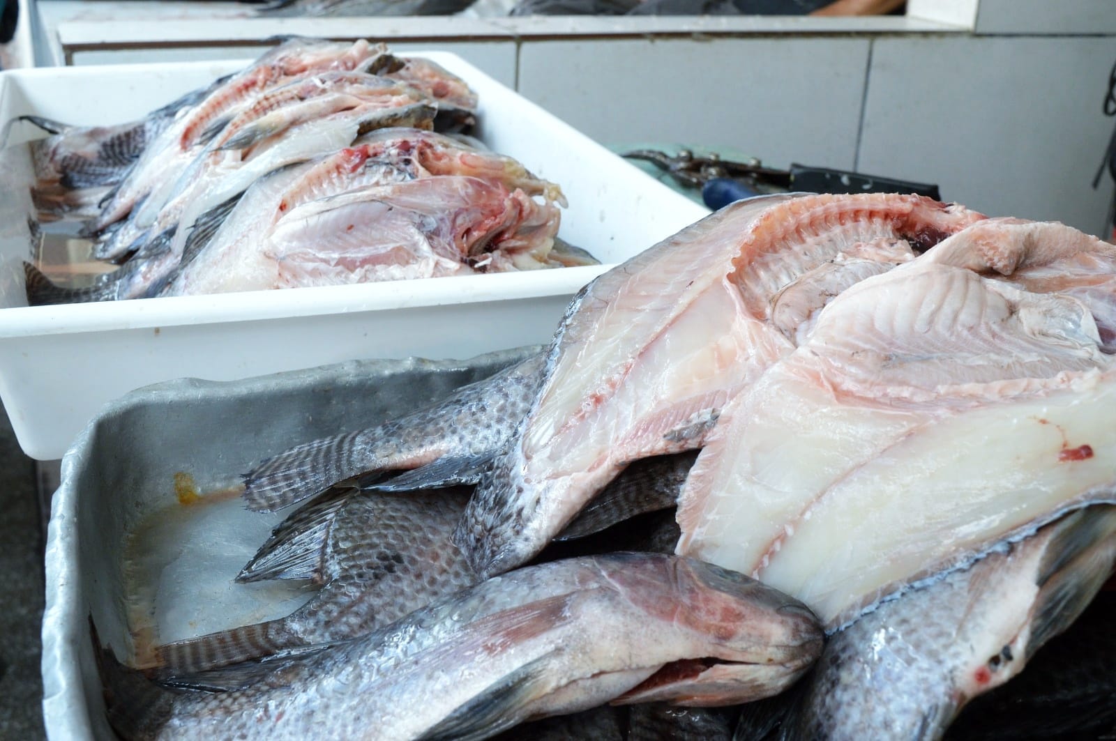 Clientes e feirantes comemoram a venda de peixe no Mercado de ST