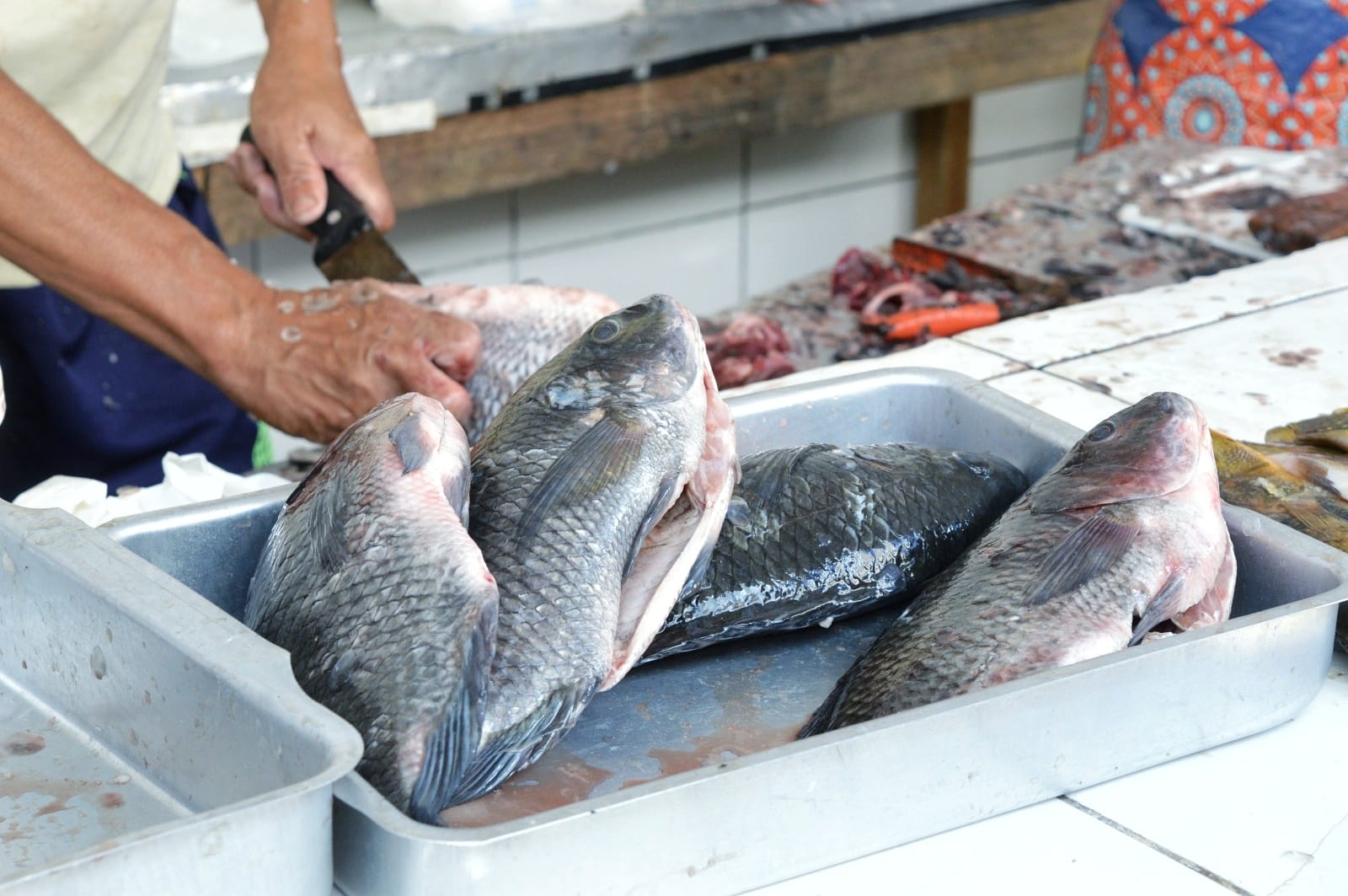 Clientes e feirantes comemoram a venda de peixe no Mercado de ST