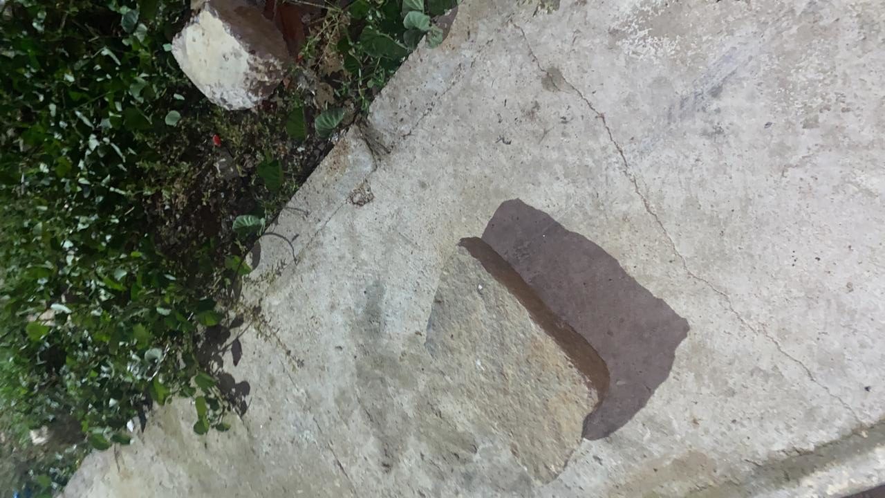 Prefeitura de ST deixa lixo em rua e cobras e ratos invadem residências