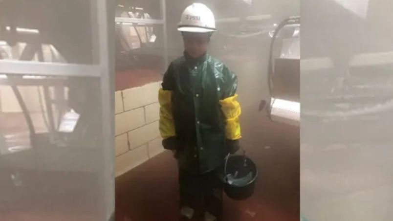 Fotos mostram crianças encontradas trabalhando em abatedouros