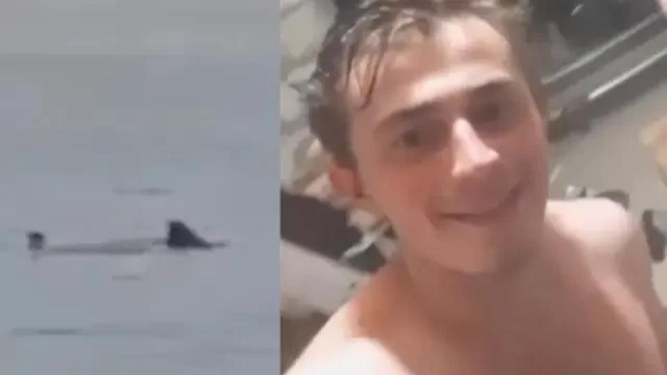 Restos mortais de russo atacado por tubarão são encontrados no animal