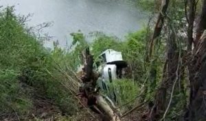 Motorista capota veículo ao tentar desviar de animal em Floresta
