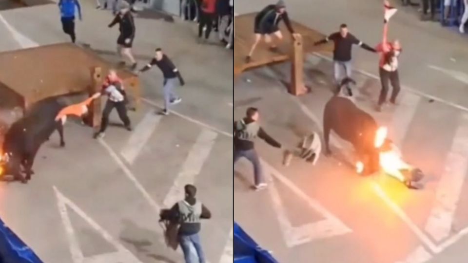 Vídeo: Touro "se vinga" e ataca homens que atearam fogo em seus chifres