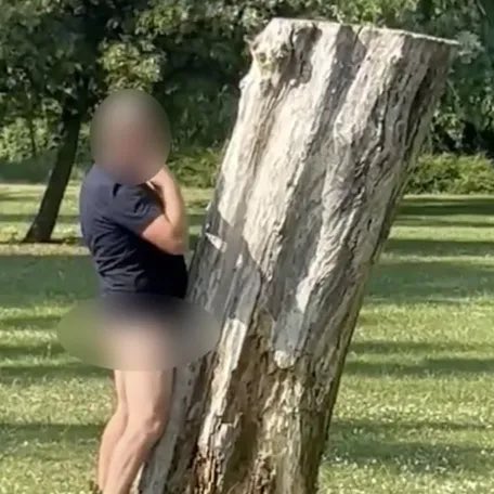 Inglês vai a parque, faz sexo com resto de árvore à luz do dia e acaba preso