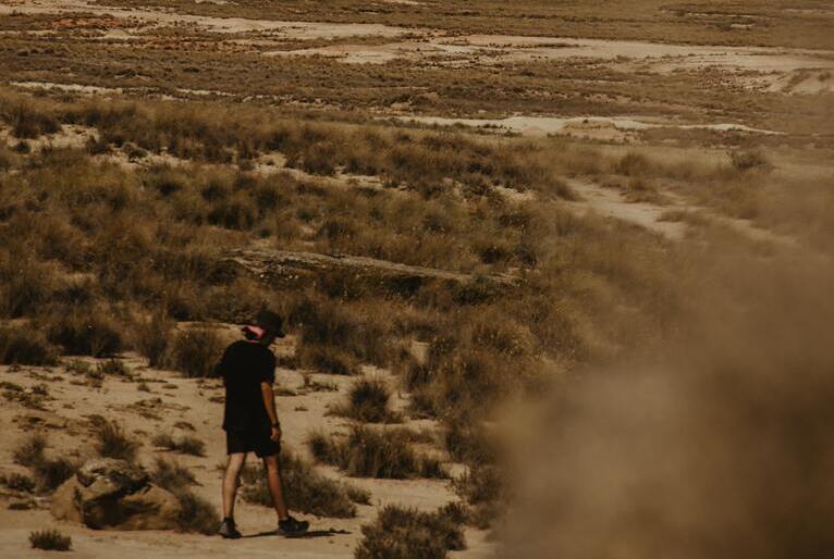 Calor extremo nos Estados Unidos está matando até os cactos