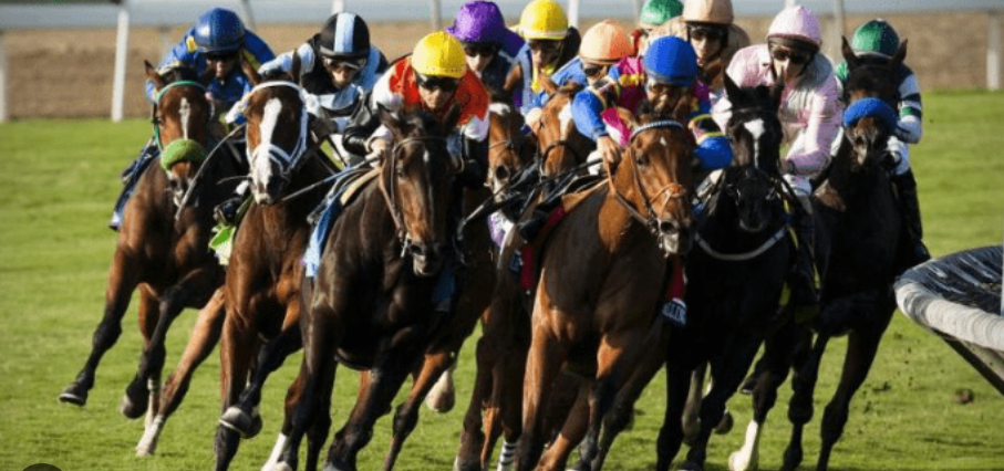 Esportes equestres: corrida e seleção de cavalos