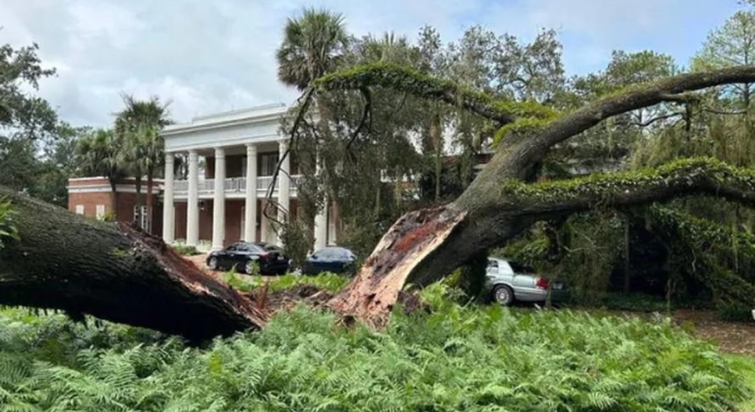 Furacão derruba árvore centenária sobre mansão de governador da Flórida