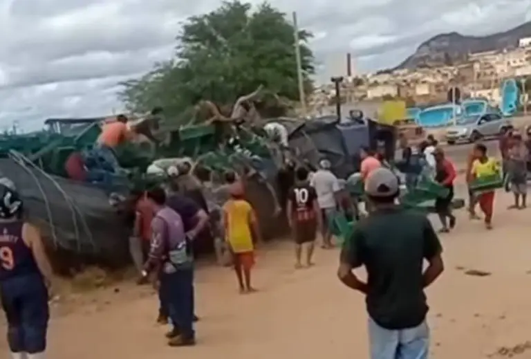 Caminhão de abacaxi tomba e carga é saqueada