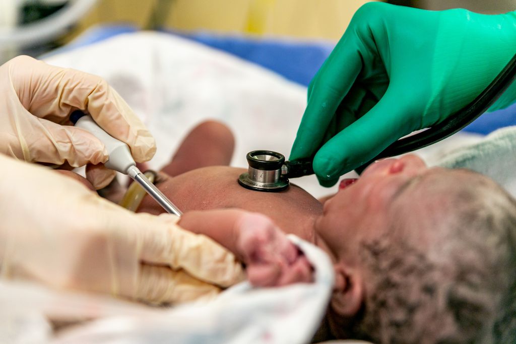 Úteros artificiais para bebês prematuros podem se tornar realidade