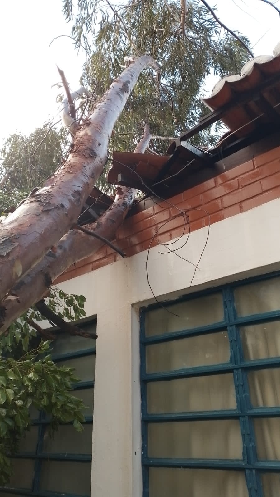 Vendaval arranca telhado de creche e Prefeitura toma medidas