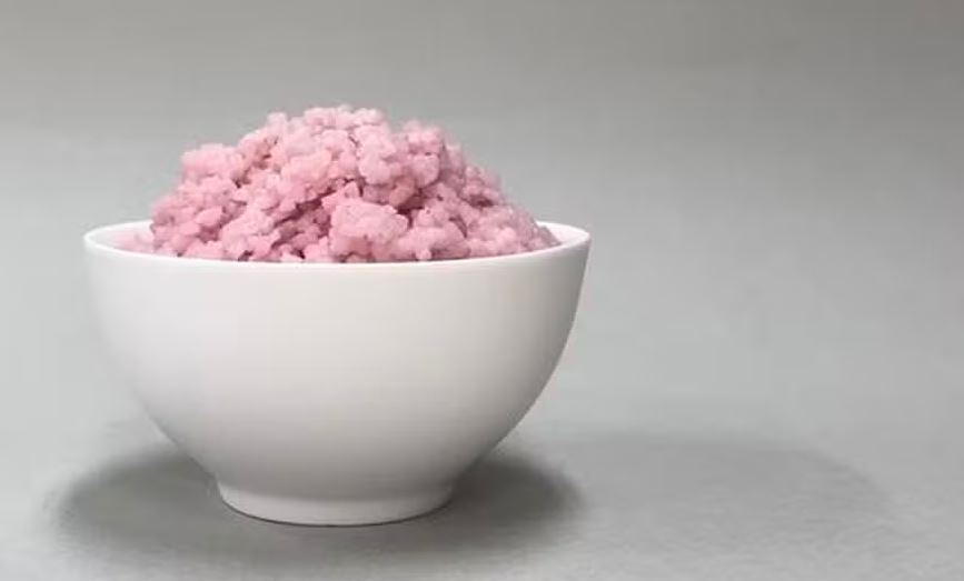 Cientistas criam arroz "carnudo" em laboratório