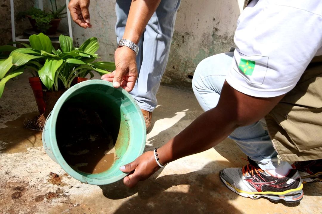 Dengue: explosão de casos exige prevenção e cuidados da população