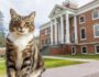 Gato recebe diploma honorário da Universidade de Vermont