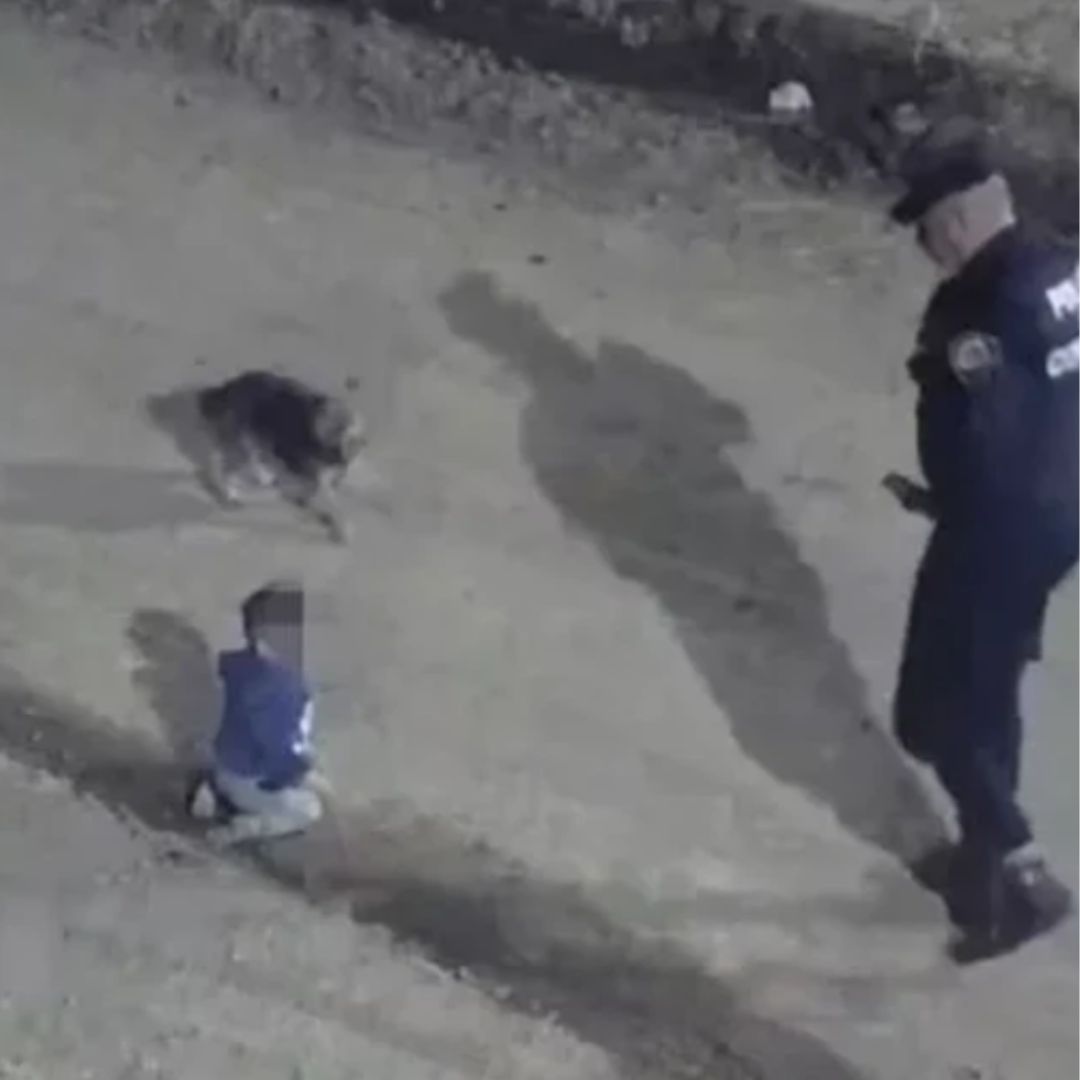 Vídeo: bebê foge de casa engatinhando com cachorro