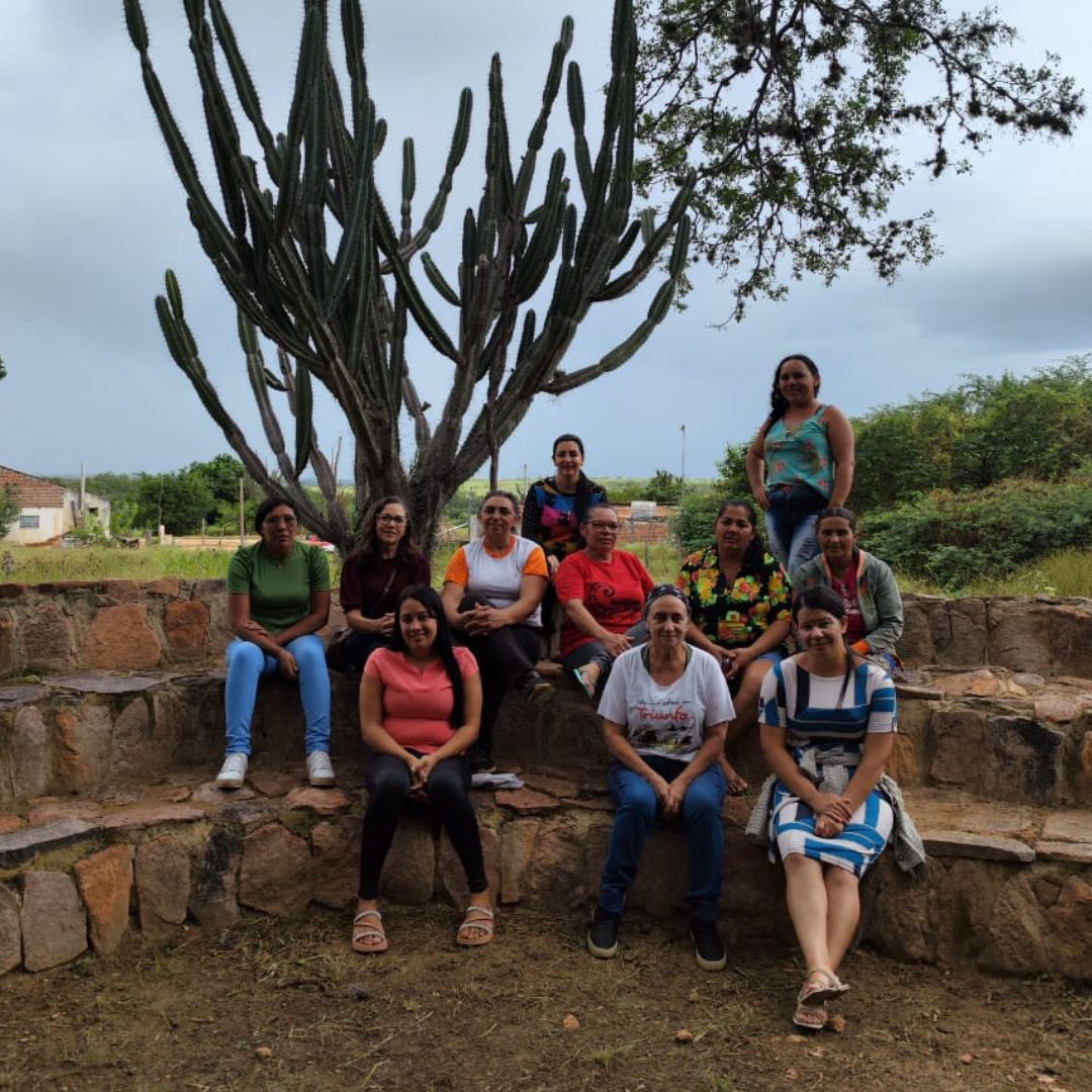 Agricultoras do sertão usam madeiras doadas para construir caixas de abelhas