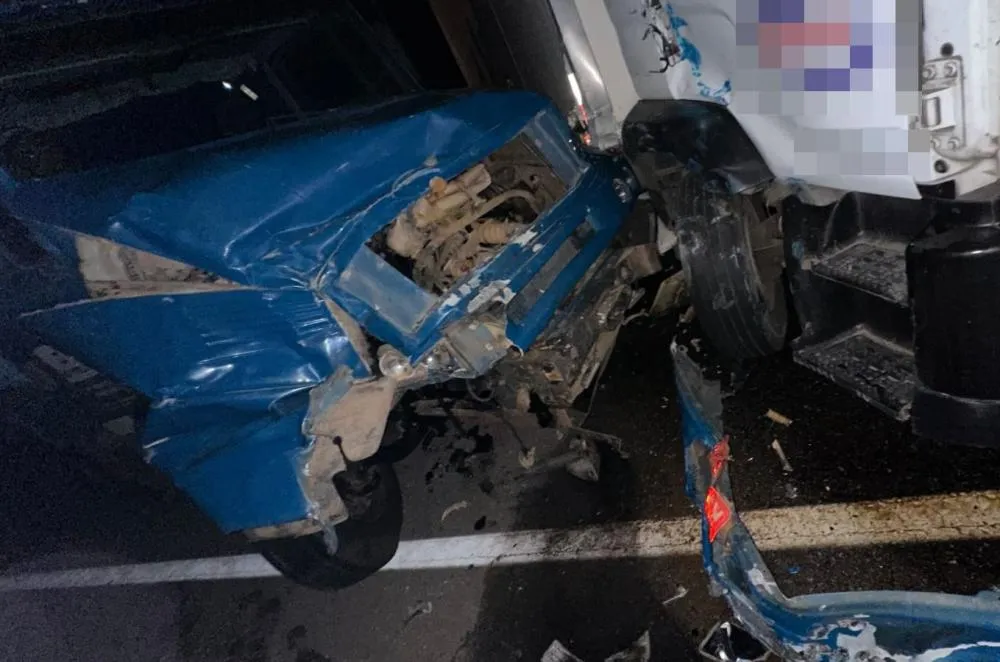 Animal provoca grave acidente e quase tragédia em Floresta