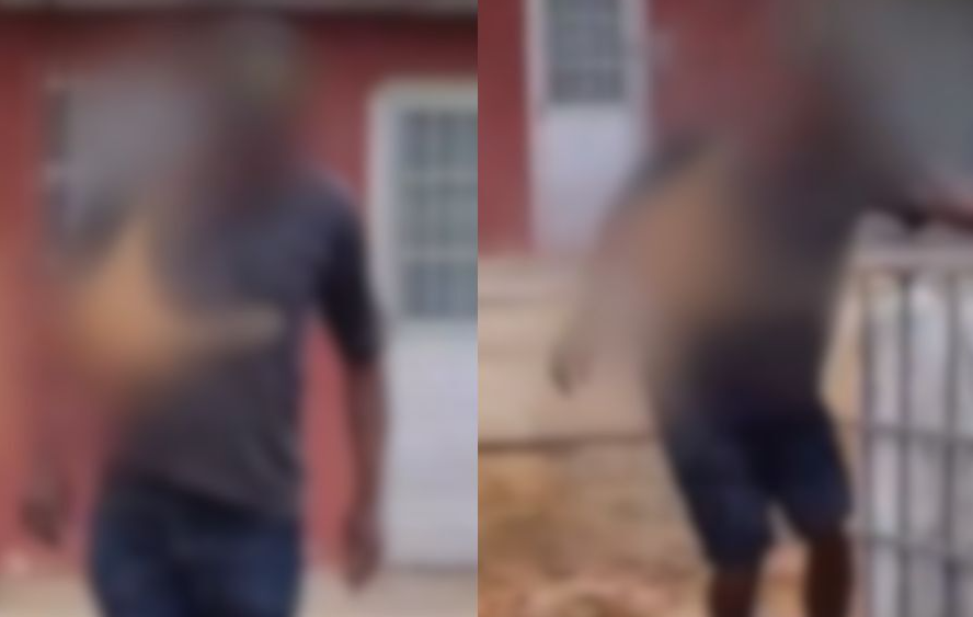 Homem mata gato e carrega corpo pelas ruas - Redes Sociais/Reprodução