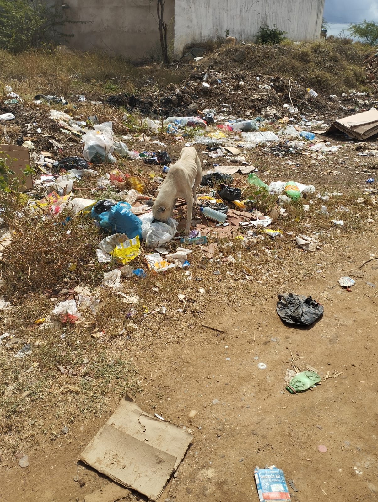 Terreno vira lixão em bairro de ST e moradora cobra da prefeitura