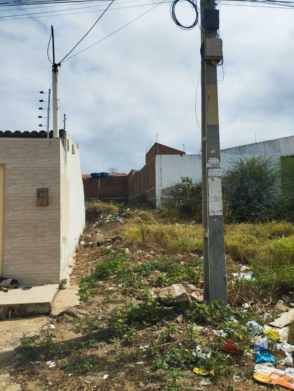 Terreno vira lixão em bairro de ST e moradora cobra da prefeitura