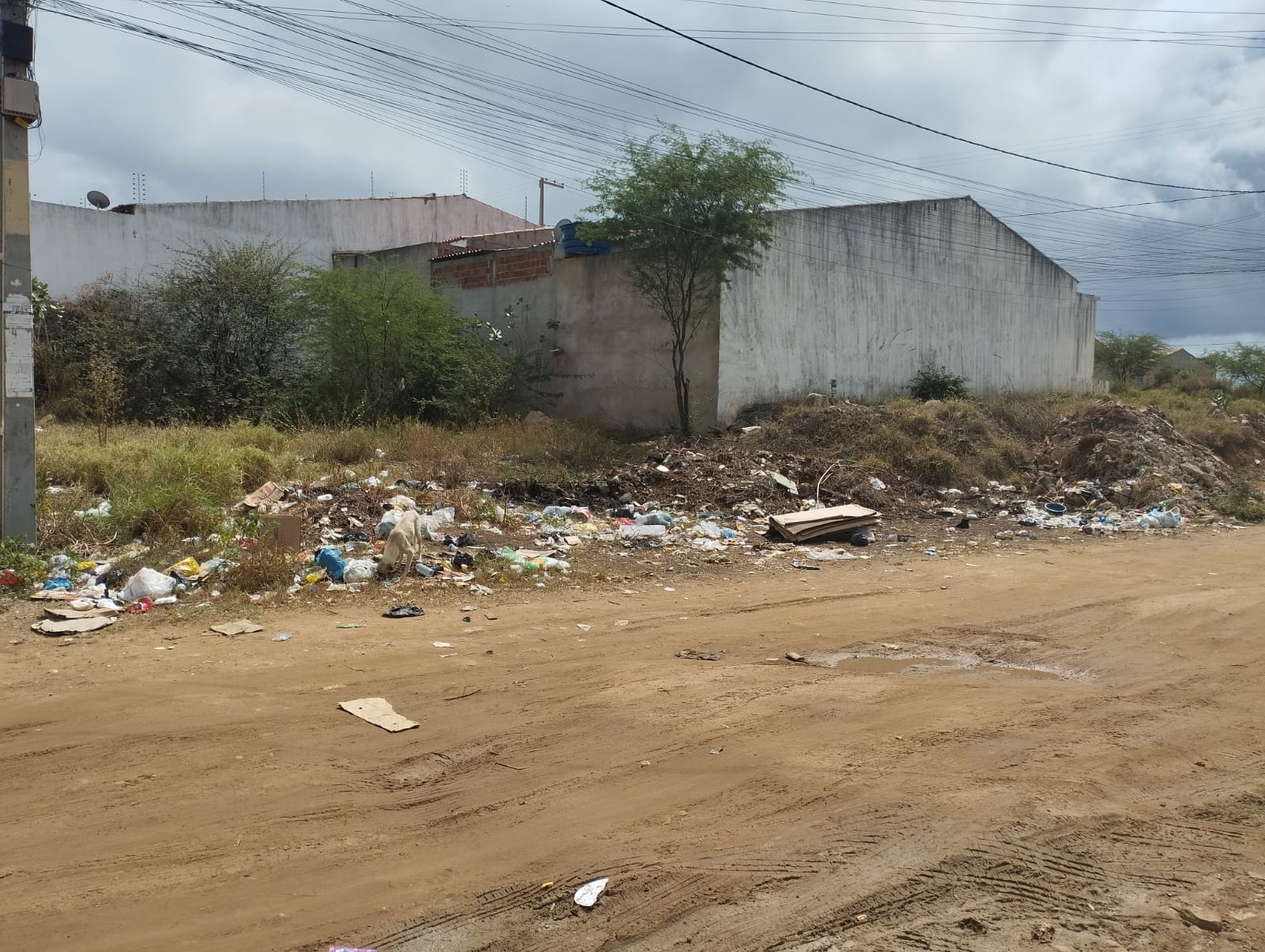 Terreno vira lixão em bairro de ST e moradora cobra da prefeitura