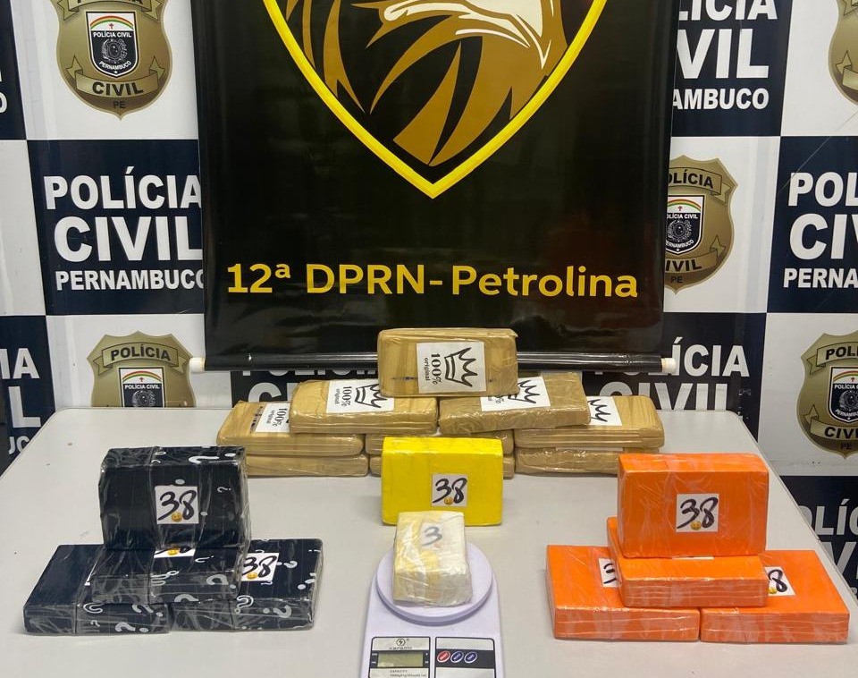 Polícia apreende mais de 19 kg de cocaína no Sertão 1 PC apreende mais de 19 kg de cocaína no Sertão - Foto: Reprodução/Polícia Civil