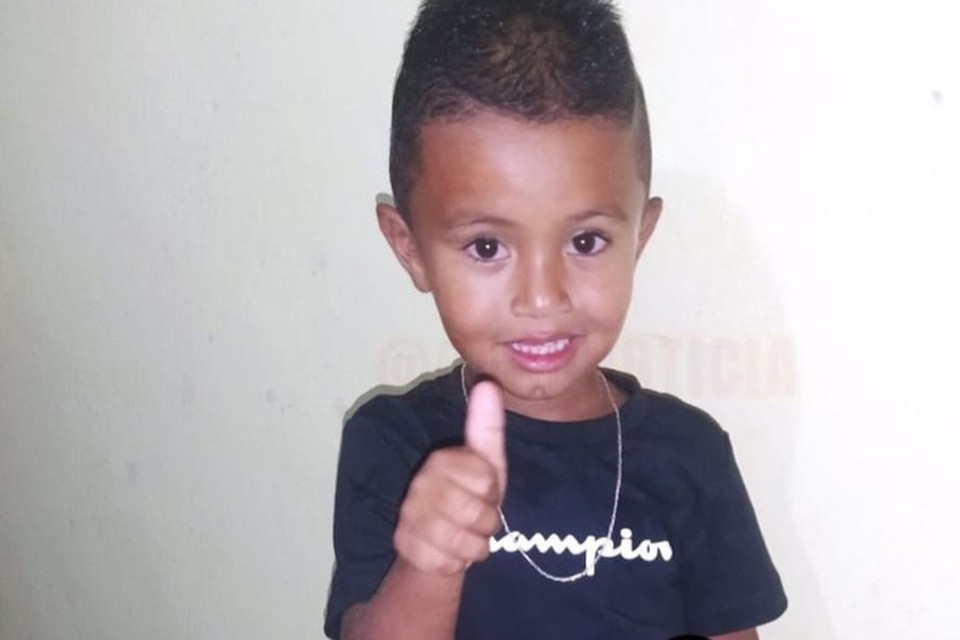Menino é atacado por cães e fica 7 horas em árvore 1 Criança é atacada por cães e fica 7 horas em árvore - Foto: Divulgação/SES