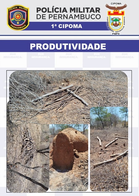 Após denúncia, PM age e combate desmatamento no Sertão do Pajeú