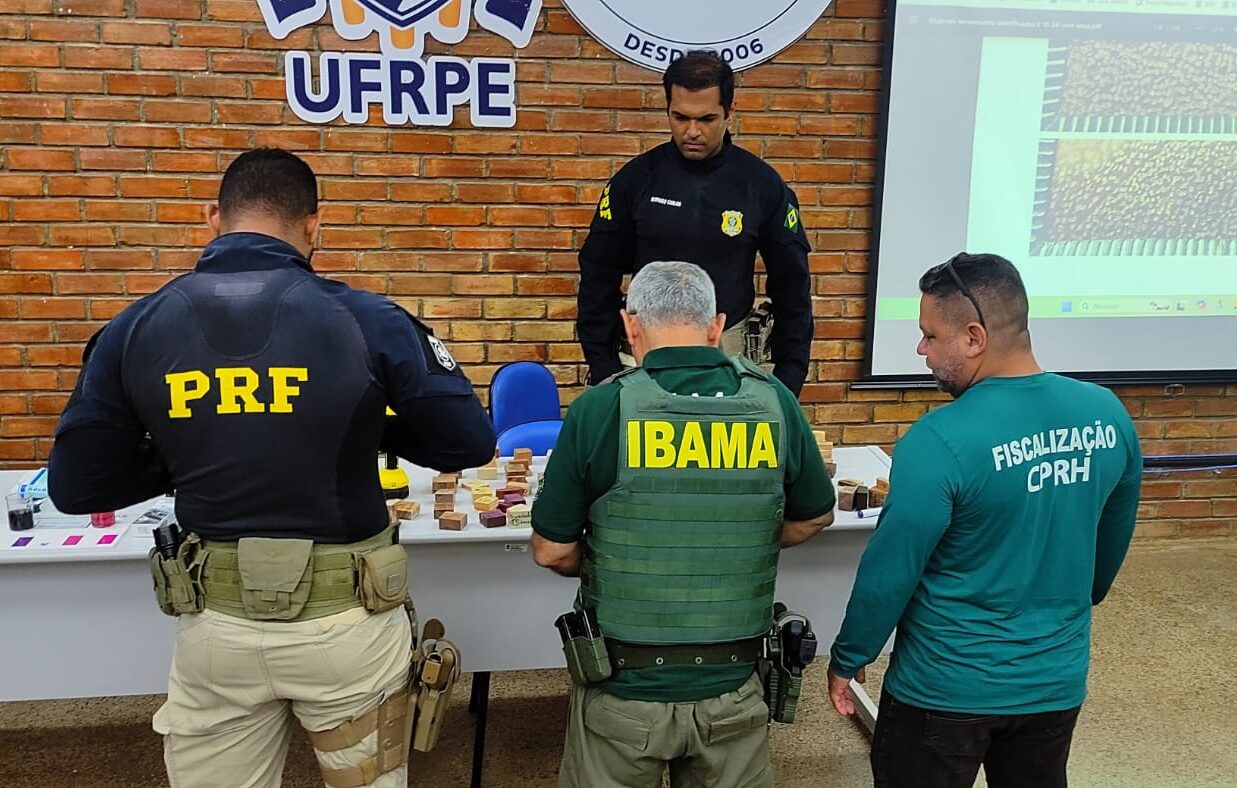 4 cargas de madeira irregular são apreendidas em Serra Talhada
