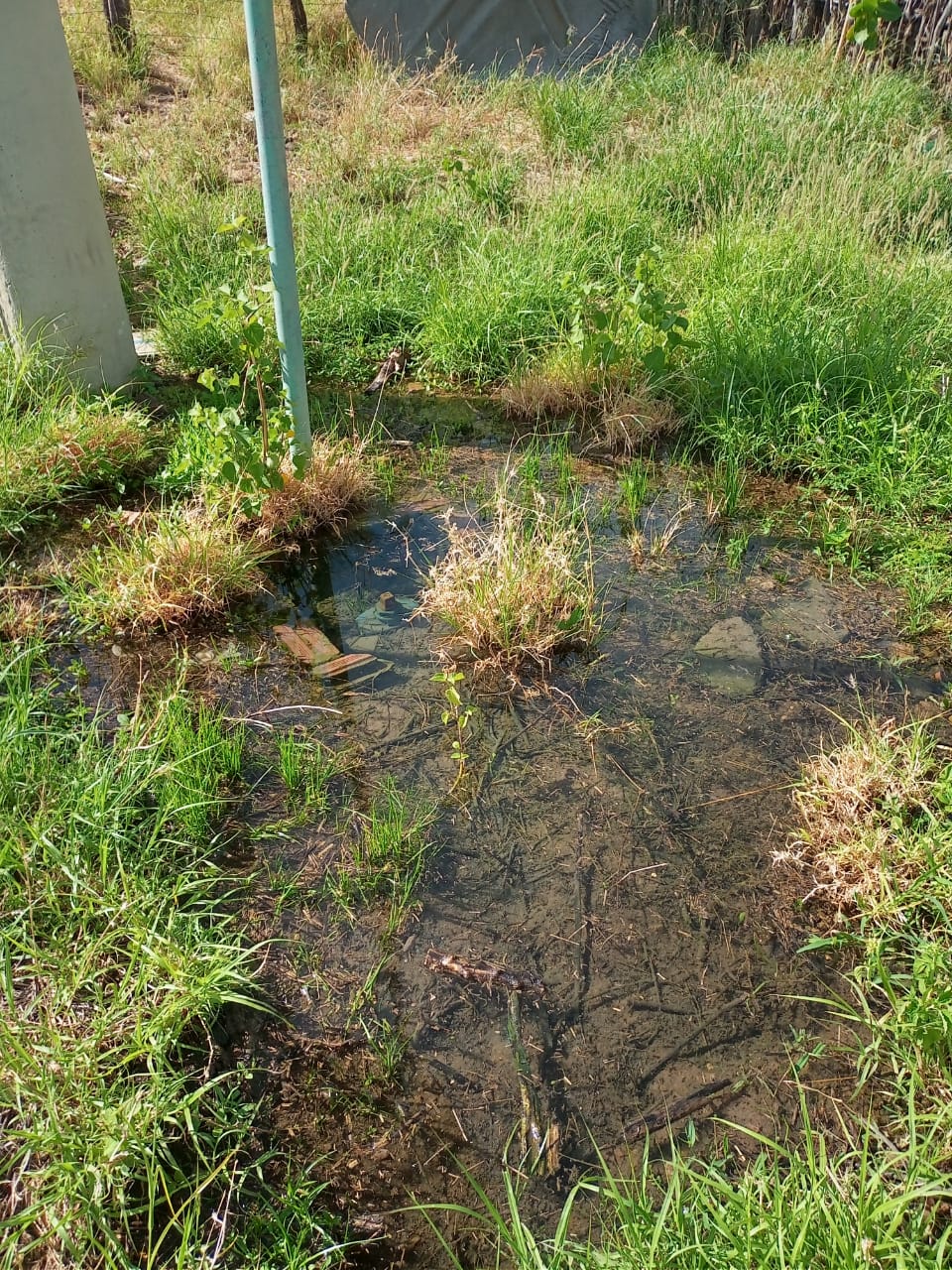 Descaso da Compesa causa revolta na zona rural de Serra Talhada