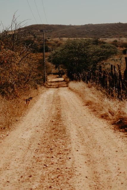 Também há beleza e poesia nas cercas e estradas de Serra Talhada