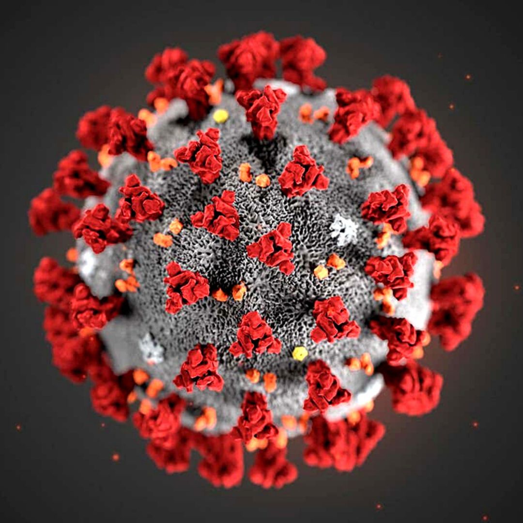 PE confirma primeiros casos de metapneumovírus humano