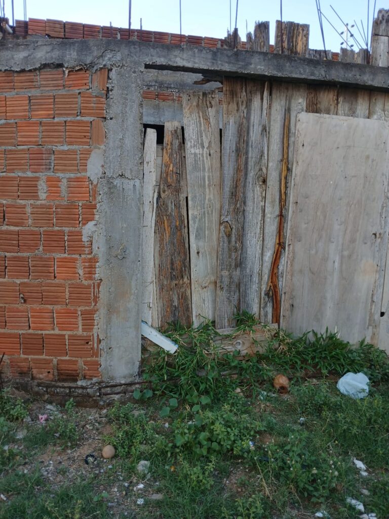 Gatos colocam em risco a saúde pública no bairro AABB, em Serra Talhada