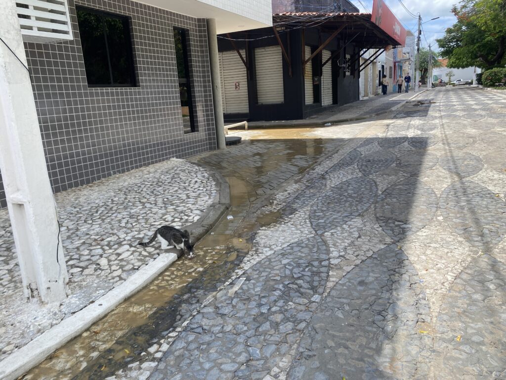 Esgotos aceleram situação de abandono em cartão postal de Serra Talhada