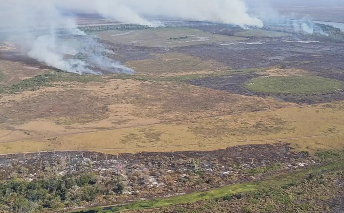 Amazônia: alerta de desmatamento cresce e mobiliza governo 1 Amazônia: alerta de desmatamento cresce e mobiliza governo - Foto: Polícia Federal