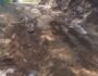 Motorista se revolta após evitar acidente nesta 2ª na zona rural de Serra Talhada 12 motorista se revolta após acidente