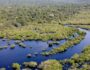Desmatamento no Brasil caiu 32,4% em 2024; 5 dos 6 biomas registraram redução 18 Foto: Fábio Rodrigues-Pozzebom/Agência Brasil