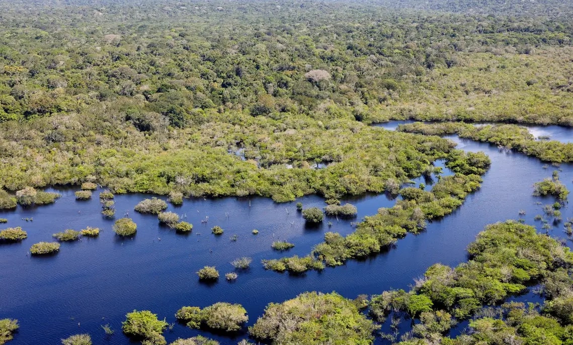 Desmatamento no Brasil caiu 32,4% em 2024; 5 dos 6 biomas registraram redução 1 Desmatamento no Brasil caiu 32,4% em 2024; 5 dos 6 biomas registraram redução - Foto: Fábio Rodrigues-Pozzebom/Agência Brasil