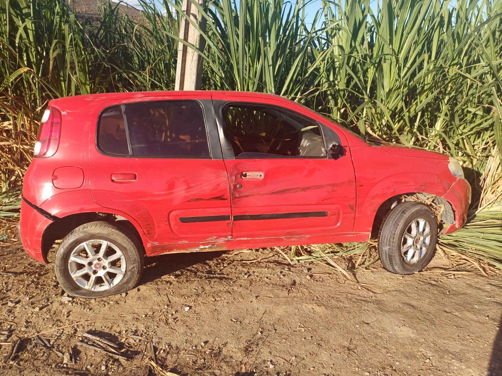Colisão entre veículos deixa vítima fatal na BR 101