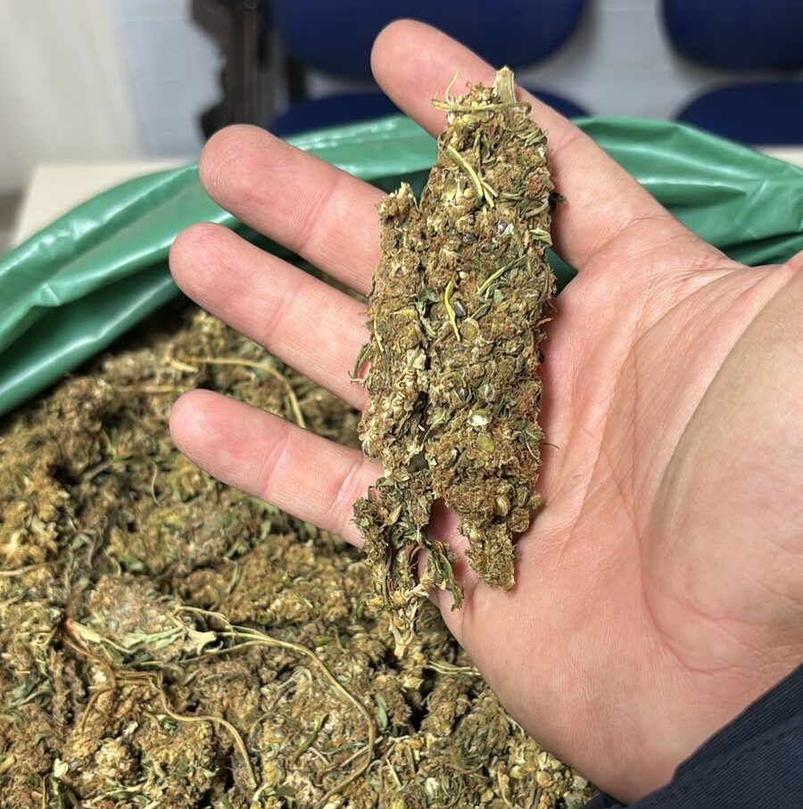 Homem é detido com maconha dentro de carro roubado