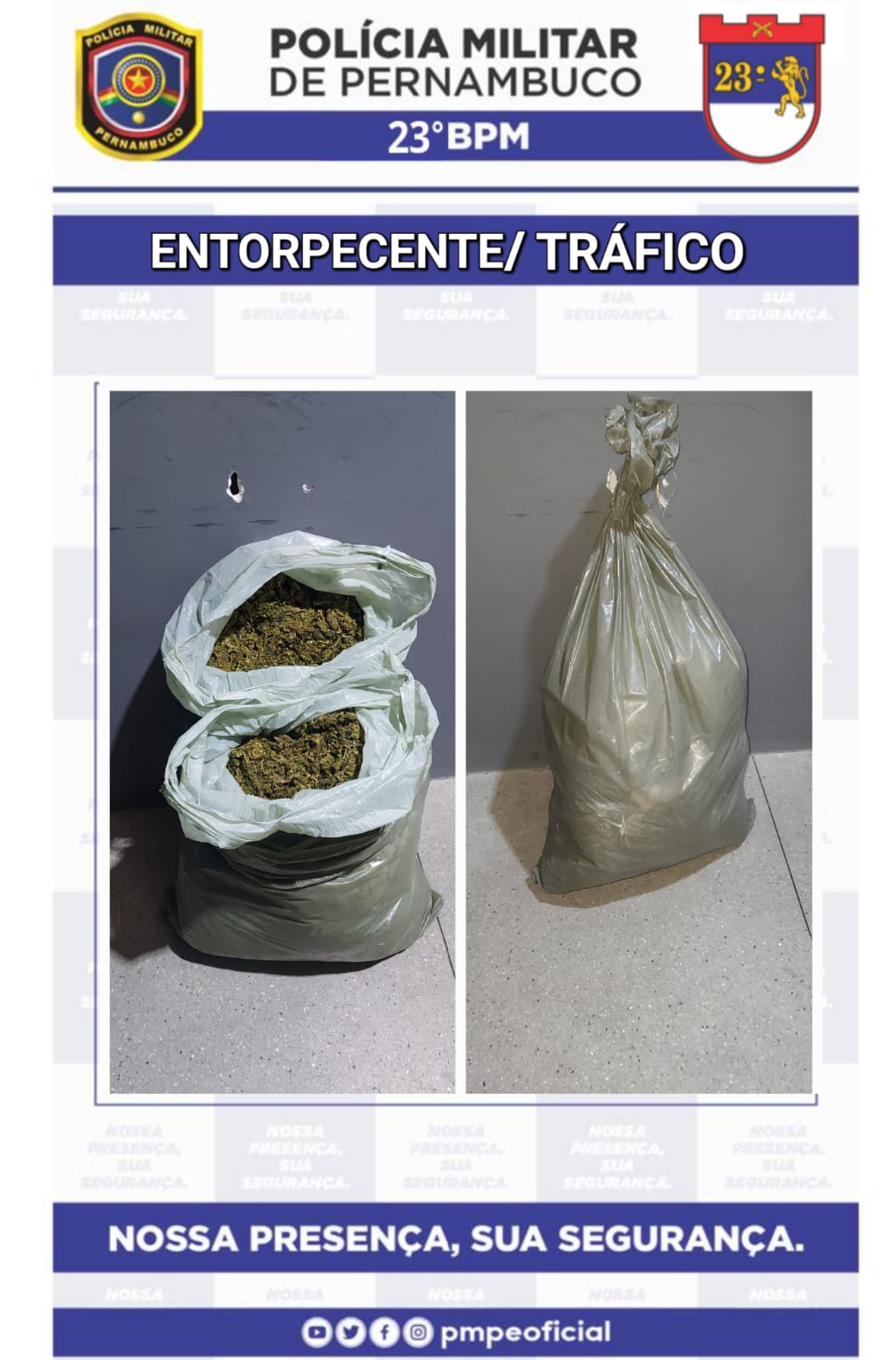 Mais de 10kg de maconha são apreendidos pela PM no Sertão 1 Mais de 10kg de maconha são apreendidos pm Sertão de PE - Foto: Divulgação/PMPE