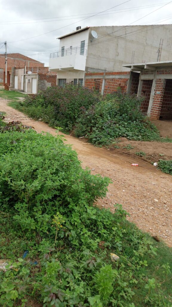 Serra-talhadense diz que bairro está cercado por mato e pede providências