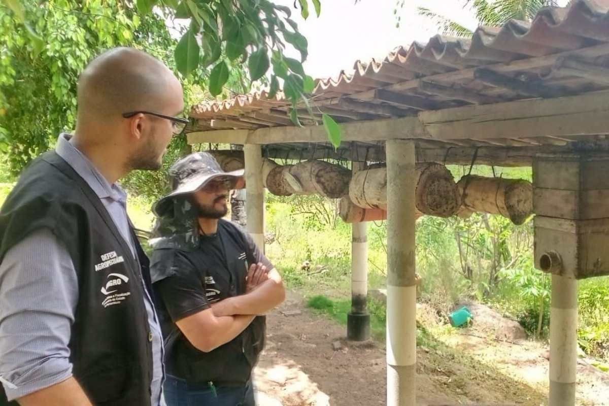 Adagro prorroga prazo para atualização cadastral 1 Foto: Divulgação