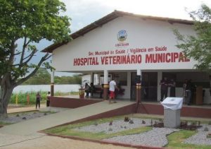 Leitora denuncia falta de atendimento no Centro de Zoonoses de ST 1 Leitora denuncia falta de atendimento no Centro de Zoonoses de ST