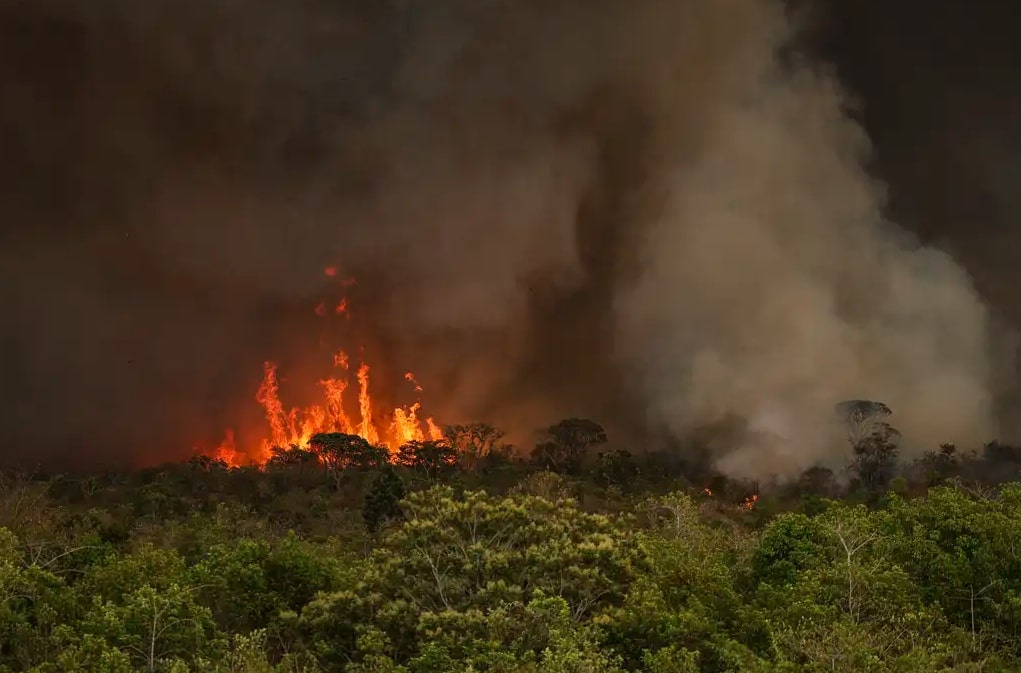 Queimadas fazem desmatamento crescer 92% na Amazônia 1 Queimadas fazem desmatamento crescer 92% na Amazônia - Foto: Marcelo Camargo/Agência Brasil