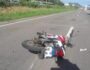 Motociclista morre após colidir com boi na BR-232 1 Foto: Reprodução